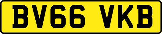 BV66VKB