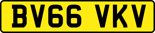 BV66VKV