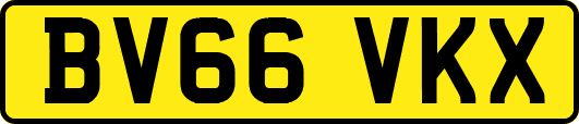 BV66VKX