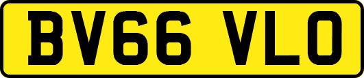 BV66VLO