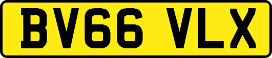 BV66VLX