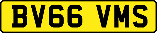 BV66VMS