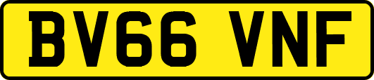 BV66VNF