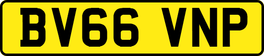 BV66VNP