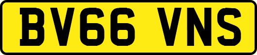 BV66VNS