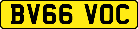 BV66VOC