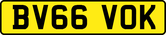 BV66VOK