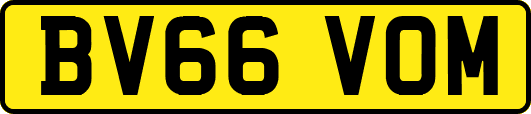 BV66VOM
