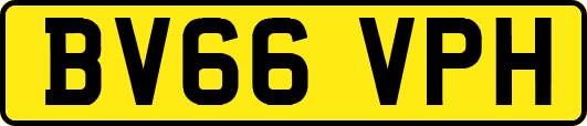 BV66VPH