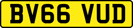 BV66VUD