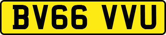 BV66VVU