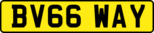 BV66WAY