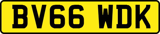 BV66WDK