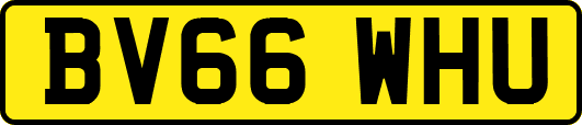 BV66WHU