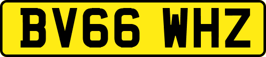 BV66WHZ