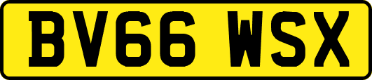 BV66WSX