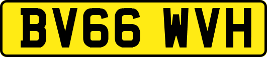 BV66WVH