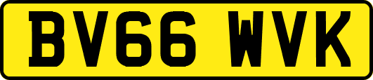 BV66WVK