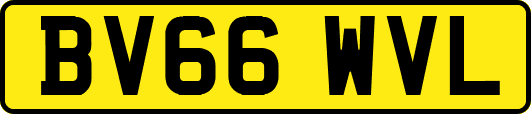 BV66WVL