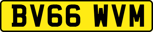 BV66WVM