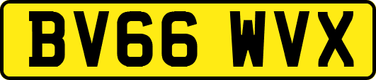 BV66WVX