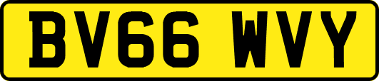 BV66WVY