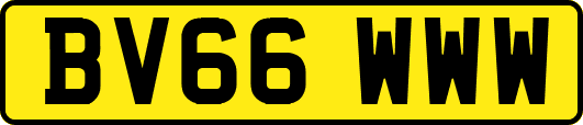 BV66WWW