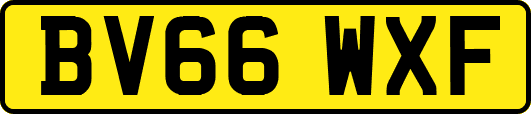 BV66WXF