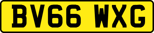 BV66WXG