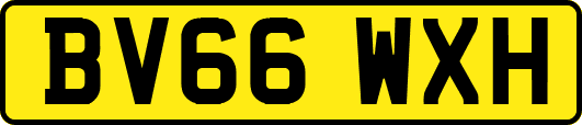 BV66WXH