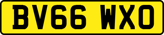 BV66WXO