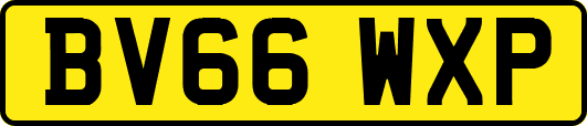 BV66WXP