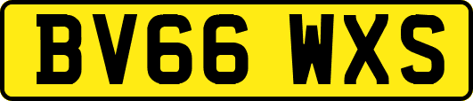 BV66WXS