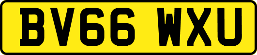 BV66WXU