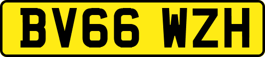 BV66WZH