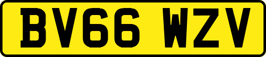 BV66WZV