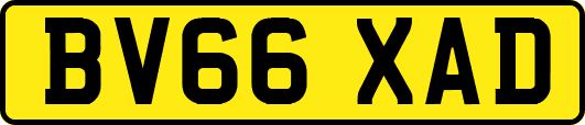 BV66XAD