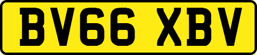 BV66XBV