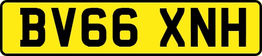 BV66XNH