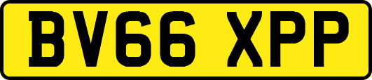 BV66XPP