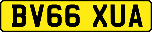 BV66XUA