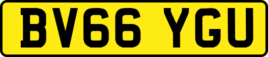 BV66YGU