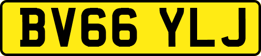 BV66YLJ