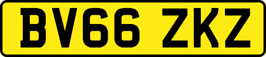 BV66ZKZ