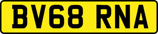 BV68RNA