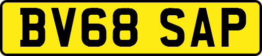 BV68SAP