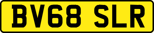 BV68SLR