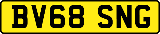 BV68SNG