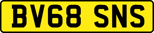 BV68SNS