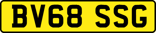 BV68SSG